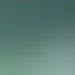 Проект на карте