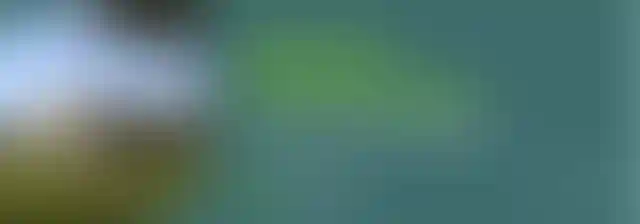 Фоновое изображение
