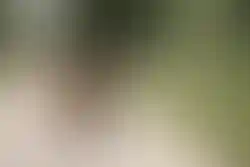 Конный клуб Радужный