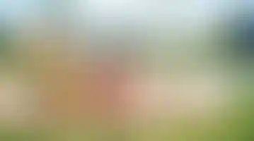 Детский сад №253
