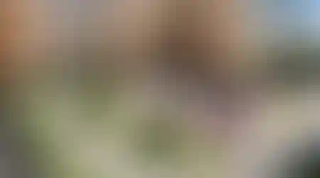 Двор