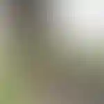 Террасы изображение