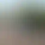 Гостевой паркинг изображение