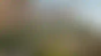 Особенность
