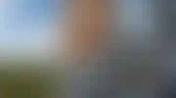 Особенность