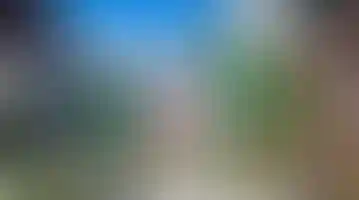 Особенность