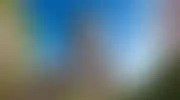 Особенность