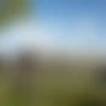 Особенность