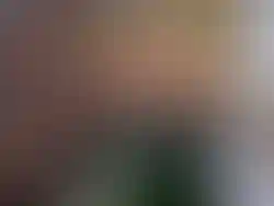 Особенность