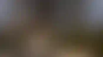 Особенность