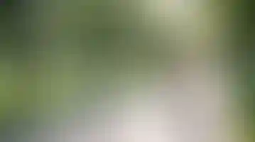 Особенность