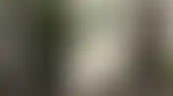 Особенность