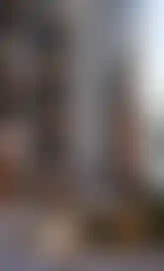 Изображение проекта